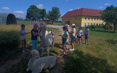 Besuch der 1A am Alpakahof