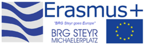 BRG Steyr goes Europe