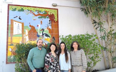 Job Shadowing im Rahmen von Erasmus+ in Sevilla