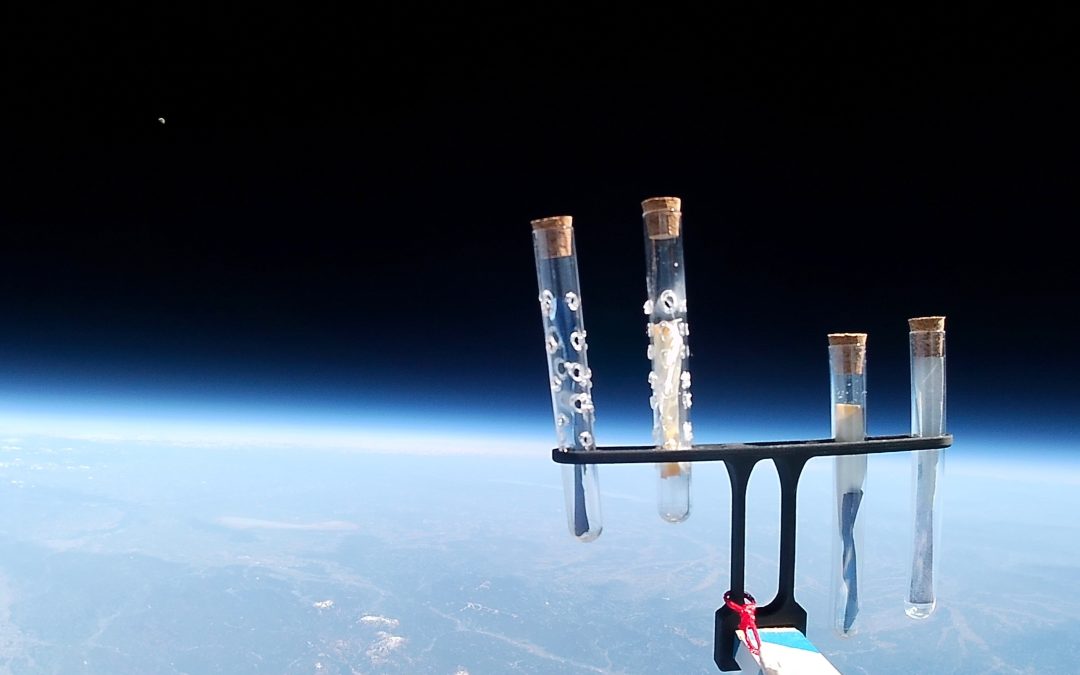 BRG Stratossonde zurück in der Schule – die ersten Bilder!