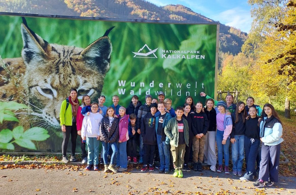 3D: Nationalpark Kalkalpen Besucher*innenzentrum Reichraming