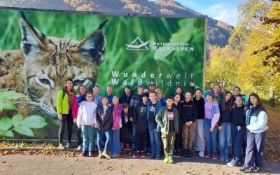 3D: Nationalpark Kalkalpen Besucher*innenzentrum Reichraming