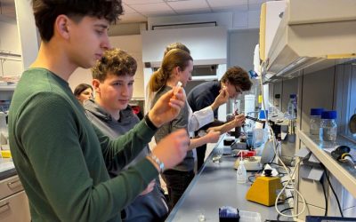 Biotechnologie und Gentechnik – Workshop FH Hagenberg
