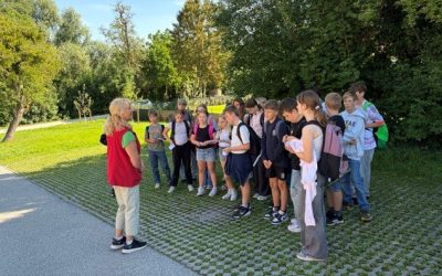 SOMI-Projekt der 1F im Tierheim Steyr