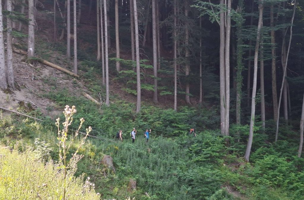 WPG Auf alten Klosterwegen – Von Steyr in die Mark