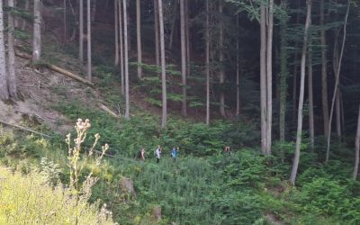 WPG Auf alten Klosterwegen – Von Steyr in die Mark