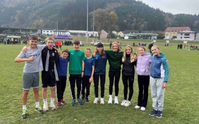 Cross Country Lauf-Landesmeisterschaften